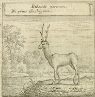 An illustration from Emblemes sacrez sur le tres-saint et tres-adorable sacrement de l'eucharistie (1667)