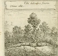 Picture 77 of 108 from Emblemes sacrez sur le tres-saint et tres-adorable sacrement de l'eucharistie (1667), leaf 159