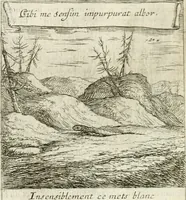 An illustration from Emblemes sacrez sur le tres-saint et tres-adorable sacrement de l'eucharistie (1667)