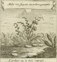 An illustration from Emblemes sacrez sur le tres-saint et tres-adorable sacrement de l'eucharistie (1667)
