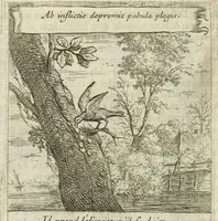 Picture 36 of 108 from Emblemes sacrez sur le tres-saint et tres-adorable sacrement de l'eucharistie (1667), leaf 81
