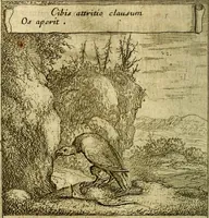 An illustration from Emblemes sacrez svr le tres-saint et tresadorable sacrement de l'evcharistie (1667)