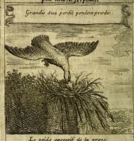 An illustration from Emblemes sacrez svr le tres-saint et tresadorable sacrement de l'evcharistie (1667)