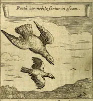 An illustration from Emblemes sacrez svr le tres-saint et tresadorable sacrement de l'evcharistie (1667)