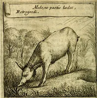 An illustration from Emblemes sacrez svr le tres-saint et tresadorable sacrement de l'evcharistie (1667)