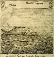 An illustration from Emblemes sacrez svr le tres-saint et tresadorable sacrement de l'evcharistie (1667)