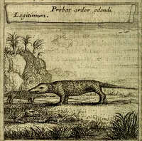 An illustration from Emblemes sacrez svr le tres-saint et tresadorable sacrement de l'evcharistie (1667)