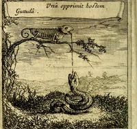 An illustration from Emblemes sacrez svr le tres-saint et tresadorable sacrement de l'evcharistie (1667)