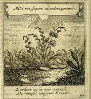 An illustration from Emblemes sacrez svr le tres-saint et tresadorable sacrement de l'evcharistie (1667)