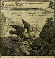 An illustration from Emblemes sacrez svr le tres-saint et tresadorable sacrement de l'evcharistie (1667)