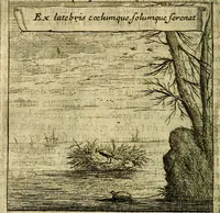 An illustration from Emblemes sacrez svr le tres-saint et tresadorable sacrement de l'evcharistie (1667)