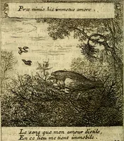 An illustration from Emblemes sacrez svr le tres-saint et tresadorable sacrement de l'evcharistie (1667)