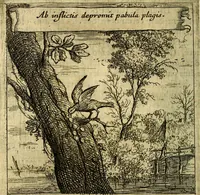 An illustration from Emblemes sacrez svr le tres-saint et tresadorable sacrement de l'evcharistie (1667)