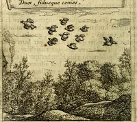 An illustration from Emblemes sacrez svr le tres-saint et tresadorable sacrement de l'evcharistie (1667)
