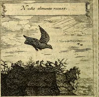 An illustration from Emblemes sacrez svr le tres-saint et tresadorable sacrement de l'evcharistie (1667)