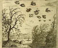 An illustration from Emblemes sacrez svr le tres-saint et tresadorable sacrement de l'evcharistie (1667)