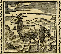 Picture 63 of 200 from Emblemi. Dal latino nel vulgare italiano ridotti, contenenti il fiore et la sostanza de' più scelti scrittori & delle più celebri discipline dell'vniuerso, ripieni di ottimi consigli & saluteuoli documenti, per l'vso ciuile et morale della vita humana (1626), leaf 102