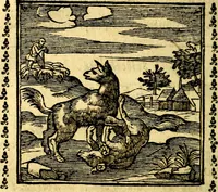 Picture 65 of 200 from Emblemi. Dal latino nel vulgare italiano ridotti, contenenti il fiore et la sostanza de' più scelti scrittori & delle più celebri discipline dell'vniuerso, ripieni di ottimi consigli & saluteuoli documenti, per l'vso ciuile et morale della vita humana (1626), leaf 105