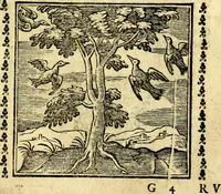An illustration from Emblemi. Dal latino nel vulgare italiano ridotti, contenenti il fiore et la sostanza de' più scelti scrittori & delle più celebri discipline dell'vniuerso, ripieni di ottimi consigli & saluteuoli documenti, per l'vso ciuile et morale della vita humana (1626)