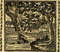Picture 85 of 200 from Emblemi. Dal latino nel vulgare italiano ridotti, contenenti il fiore et la sostanza de' più scelti scrittori & delle più celebri discipline dell'vniuerso, ripieni di ottimi consigli & saluteuoli documenti, per l'vso ciuile et morale della vita humana (1626), leaf 131