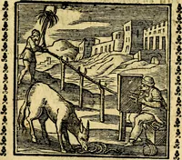 An illustration from Emblemi. Dal latino nel vulgare italiano ridotti, contenenti il fiore et la sostanza de' più scelti scrittori & delle più celebri discipline dell'vniuerso, ripieni di ottimi consigli & saluteuoli documenti, per l'vso ciuile et morale della vita humana (1626)