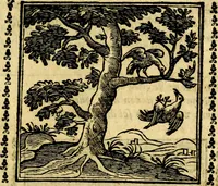 Picture 94 of 200 from Emblemi. Dal latino nel vulgare italiano ridotti, contenenti il fiore et la sostanza de' più scelti scrittori & delle più celebri discipline dell'vniuerso, ripieni di ottimi consigli & saluteuoli documenti, per l'vso ciuile et morale della vita humana (1626), leaf 144