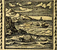 Picture 95 of 200 from Emblemi. Dal latino nel vulgare italiano ridotti, contenenti il fiore et la sostanza de' più scelti scrittori & delle più celebri discipline dell'vniuerso, ripieni di ottimi consigli & saluteuoli documenti, per l'vso ciuile et morale della vita humana (1626), leaf 145