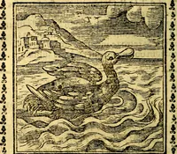 Picture 96 of 200 from Emblemi. Dal latino nel vulgare italiano ridotti, contenenti il fiore et la sostanza de' più scelti scrittori & delle più celebri discipline dell'vniuerso, ripieni di ottimi consigli & saluteuoli documenti, per l'vso ciuile et morale della vita humana (1626), leaf 147