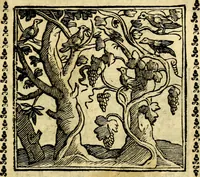 Picture 100 of 200 from Emblemi. Dal latino nel vulgare italiano ridotti, contenenti il fiore et la sostanza de' più scelti scrittori & delle più celebri discipline dell'vniuerso, ripieni di ottimi consigli & saluteuoli documenti, per l'vso ciuile et morale della vita humana (1626), leaf 156