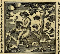 An illustration from Emblemi. Dal latino nel vulgare italiano ridotti, contenenti il fiore et la sostanza de' più scelti scrittori & delle più celebri discipline dell'vniuerso, ripieni di ottimi consigli & saluteuoli documenti, per l'vso ciuile et morale della vita humana (1626)