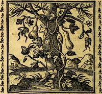 Picture 124 of 200 from Emblemi. Dal latino nel vulgare italiano ridotti, contenenti il fiore et la sostanza de' più scelti scrittori & delle più celebri discipline dell'vniuerso, ripieni di ottimi consigli & saluteuoli documenti, per l'vso ciuile et morale della vita humana (1626), leaf 195