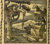 Picture 128 of 200 from Emblemi. Dal latino nel vulgare italiano ridotti, contenenti il fiore et la sostanza de' più scelti scrittori & delle più celebri discipline dell'vniuerso, ripieni di ottimi consigli & saluteuoli documenti, per l'vso ciuile et morale della vita humana (1626), leaf 201