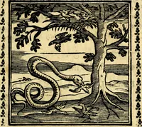 Picture 130 of 200 from Emblemi. Dal latino nel vulgare italiano ridotti, contenenti il fiore et la sostanza de' più scelti scrittori & delle più celebri discipline dell'vniuerso, ripieni di ottimi consigli & saluteuoli documenti, per l'vso ciuile et morale della vita humana (1626), leaf 206