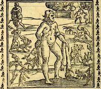 Picture 135 of 200 from Emblemi. Dal latino nel vulgare italiano ridotti, contenenti il fiore et la sostanza de' più scelti scrittori & delle più celebri discipline dell'vniuerso, ripieni di ottimi consigli & saluteuoli documenti, per l'vso ciuile et morale della vita humana (1626), leaf 215