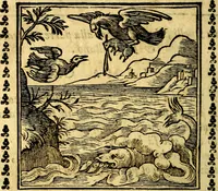 Picture 138 of 200 from Emblemi. Dal latino nel vulgare italiano ridotti, contenenti il fiore et la sostanza de' più scelti scrittori & delle più celebri discipline dell'vniuerso, ripieni di ottimi consigli & saluteuoli documenti, per l'vso ciuile et morale della vita humana (1626), leaf 221