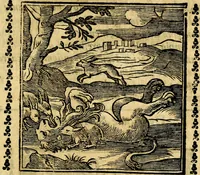 Picture 148 of 200 from Emblemi. Dal latino nel vulgare italiano ridotti, contenenti il fiore et la sostanza de' più scelti scrittori & delle più celebri discipline dell'vniuerso, ripieni di ottimi consigli & saluteuoli documenti, per l'vso ciuile et morale della vita humana (1626), leaf 238