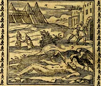 Picture 151 of 200 from Emblemi. Dal latino nel vulgare italiano ridotti, contenenti il fiore et la sostanza de' più scelti scrittori & delle più celebri discipline dell'vniuerso, ripieni di ottimi consigli & saluteuoli documenti, per l'vso ciuile et morale della vita humana (1626), leaf 245