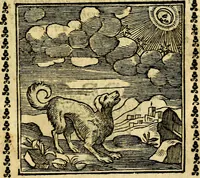 Picture 158 of 200 from Emblemi. Dal latino nel vulgare italiano ridotti, contenenti il fiore et la sostanza de' più scelti scrittori & delle più celebri discipline dell'vniuerso, ripieni di ottimi consigli & saluteuoli documenti, per l'vso ciuile et morale della vita humana (1626), leaf 254