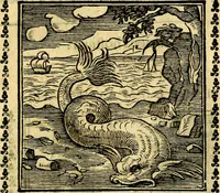 Picture 160 of 200 from Emblemi. Dal latino nel vulgare italiano ridotti, contenenti il fiore et la sostanza de' più scelti scrittori & delle più celebri discipline dell'vniuerso, ripieni di ottimi consigli & saluteuoli documenti, per l'vso ciuile et morale della vita humana (1626), leaf 258