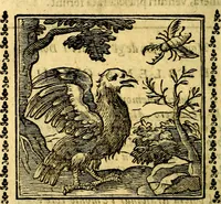 Picture 162 of 200 from Emblemi. Dal latino nel vulgare italiano ridotti, contenenti il fiore et la sostanza de' più scelti scrittori & delle più celebri discipline dell'vniuerso, ripieni di ottimi consigli & saluteuoli documenti, per l'vso ciuile et morale della vita humana (1626), leaf 261