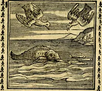 Picture 163 of 200 from Emblemi. Dal latino nel vulgare italiano ridotti, contenenti il fiore et la sostanza de' più scelti scrittori & delle più celebri discipline dell'vniuerso, ripieni di ottimi consigli & saluteuoli documenti, per l'vso ciuile et morale della vita humana (1626), leaf 262