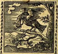 An illustration from Emblemi. Dal latino nel vulgare italiano ridotti, contenenti il fiore et la sostanza de' più scelti scrittori & delle più celebri discipline dell'vniuerso, ripieni di ottimi consigli & saluteuoli documenti, per l'vso ciuile et morale della vita humana (1626)