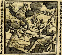 Picture 175 of 200 from Emblemi. Dal latino nel vulgare italiano ridotti, contenenti il fiore et la sostanza de' più scelti scrittori & delle più celebri discipline dell'vniuerso, ripieni di ottimi consigli & saluteuoli documenti, per l'vso ciuile et morale della vita humana (1626), leaf 280