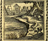 Picture 183 of 200 from Emblemi. Dal latino nel vulgare italiano ridotti, contenenti il fiore et la sostanza de' più scelti scrittori & delle più celebri discipline dell'vniuerso, ripieni di ottimi consigli & saluteuoli documenti, per l'vso ciuile et morale della vita humana (1626), leaf 297