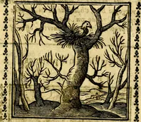 Picture 185 of 200 from Emblemi. Dal latino nel vulgare italiano ridotti, contenenti il fiore et la sostanza de' più scelti scrittori & delle più celebri discipline dell'vniuerso, ripieni di ottimi consigli & saluteuoli documenti, per l'vso ciuile et morale della vita humana (1626), leaf 300