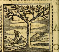 Picture 189 of 200 from Emblemi. Dal latino nel vulgare italiano ridotti, contenenti il fiore et la sostanza de' più scelti scrittori & delle più celebri discipline dell'vniuerso, ripieni di ottimi consigli & saluteuoli documenti, per l'vso ciuile et morale della vita humana (1626), leaf 311