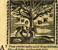 Picture 191 of 200 from Emblemi. Dal latino nel vulgare italiano ridotti, contenenti il fiore et la sostanza de' più scelti scrittori & delle più celebri discipline dell'vniuerso, ripieni di ottimi consigli & saluteuoli documenti, per l'vso ciuile et morale della vita humana (1626), leaf 313