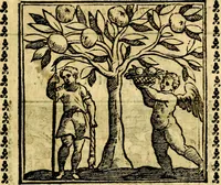 Picture 192 of 200 from Emblemi. Dal latino nel vulgare italiano ridotti, contenenti il fiore et la sostanza de' più scelti scrittori & delle più celebri discipline dell'vniuerso, ripieni di ottimi consigli & saluteuoli documenti, per l'vso ciuile et morale della vita humana (1626), leaf 314