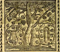 Picture 193 of 200 from Emblemi. Dal latino nel vulgare italiano ridotti, contenenti il fiore et la sostanza de' più scelti scrittori & delle più celebri discipline dell'vniuerso, ripieni di ottimi consigli & saluteuoli documenti, per l'vso ciuile et morale della vita humana (1626), leaf 315