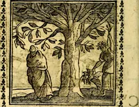 Picture 197 of 200 from Emblemi. Dal latino nel vulgare italiano ridotti, contenenti il fiore et la sostanza de' più scelti scrittori & delle più celebri discipline dell'vniuerso, ripieni di ottimi consigli & saluteuoli documenti, per l'vso ciuile et morale della vita humana (1626), leaf 321